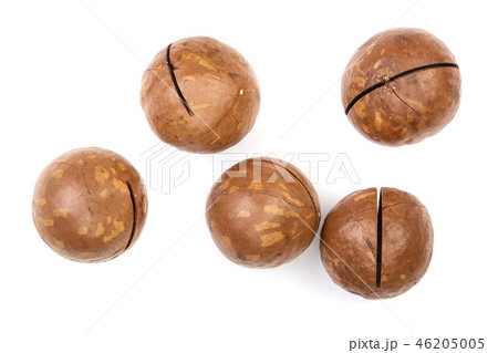 unshelled macadamia nuts isolated on white background. Top view. Flat lay pattern 46205005