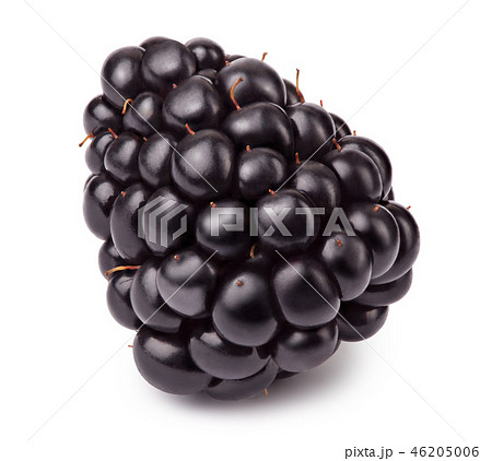Ripe blackberry isolated Ripe blackberry isolated 46205006