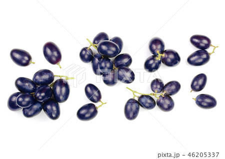 bue grapes isolated on the white background with copy space for your text. Top view. Flat lay 46205337