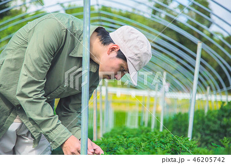 農業　男性 46205742
