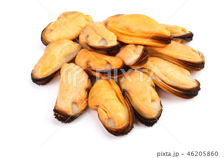 mussels without shell isolated on white background mussels without shell isolated on white background 46205860