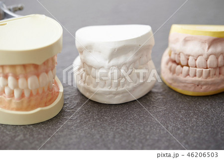 歯型模型 46206503