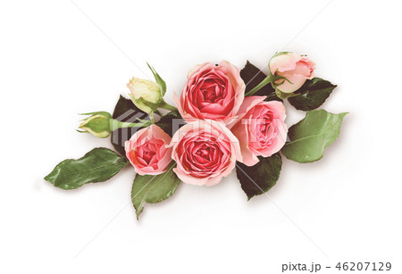 Pink rose flowers arrangement 46207129