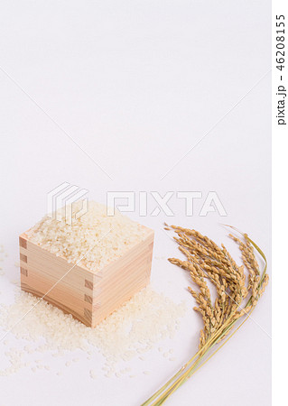 米 米 46208155