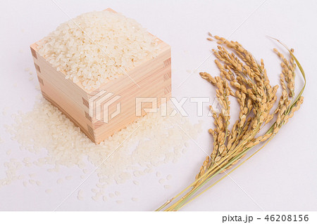 米 46208156