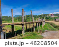 Bamboo bridge 46208504