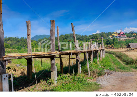 Bamboo bridge 46208504