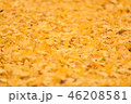 イチョウの落ち葉 イチョウの落ち葉 46208581