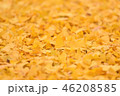 イチョウの落ち葉 イチョウの落ち葉 46208585