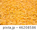 イチョウの落ち葉 イチョウの落ち葉 46208586