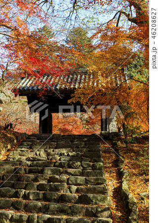 秋月城址の紅葉の写真素材