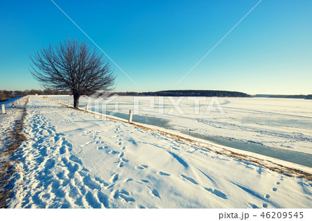 Single tree on a dam on a frozen lake Single tree on a dam on a frozen lake 46209545