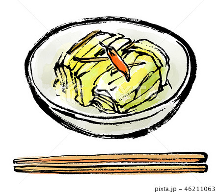 筆描き　白菜　つけもの 46211063