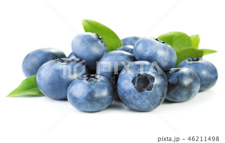 blueberry fruits isolated  46211498