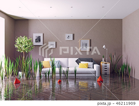flooding living room. 46211909