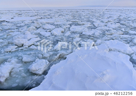 流氷観光船オーロラ号からオホーツク海の流氷 46212256