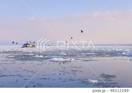 流氷観光船オーロラ号からオホーツク海の流氷とオーロラ２号 46212289