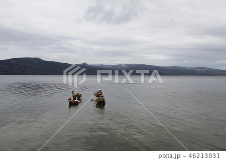 阿寒湖 46213031