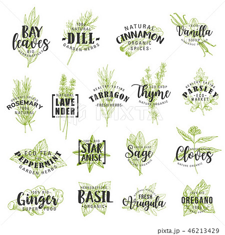 Herbs, spices, seasonings and condiments lettering Herbs, spices, seasonings and condiments lettering 46213429