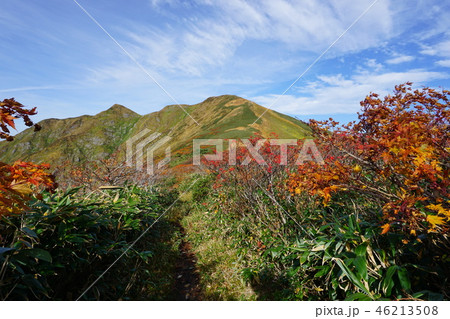 朝日連峰主稜線の紅葉と西朝日岳 朝日連峰主稜線の紅葉と西朝日岳 46213508