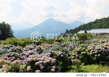 夏の磐梯山 46215560