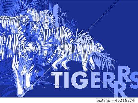 Graphic design with tigers standing, walking and roaring among the exotic leaves and trees Graphic design with tigers standing, walking and roaring among the exotic leaves and trees 46216574
