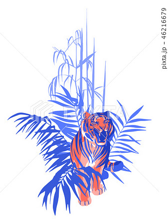 Walking and snarling tiger surrounded by tropical leaves. Walking and snarling tiger surrounded by tropical leaves. 46216679