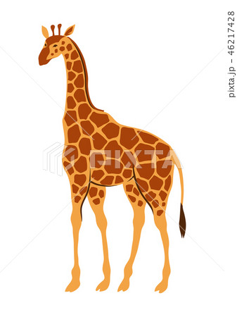 Stylized illustration of giraffe. 46217428