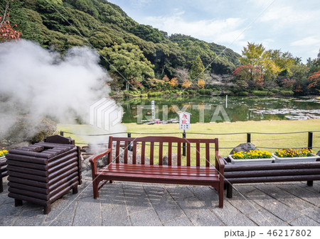 水蓮 はす はちす 46217802