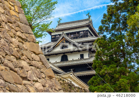 現存天守閣　松江城跡 46218000