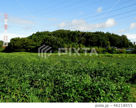 杉山城跡 杉山城跡 46218055