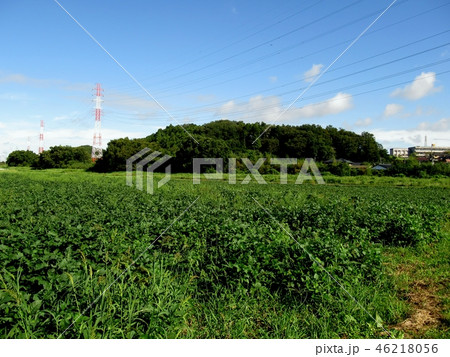 杉山城跡 46218056