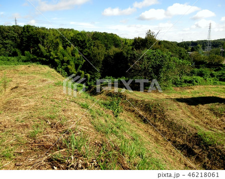 杉山城跡 46218061