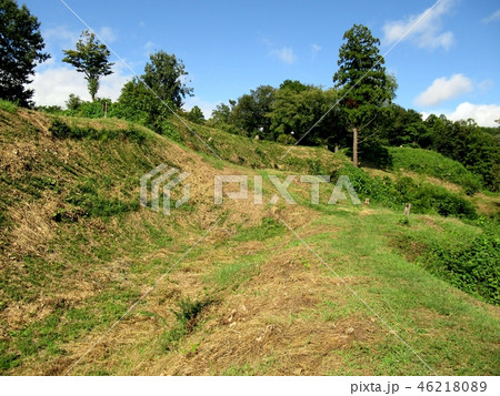杉山城跡 46218089