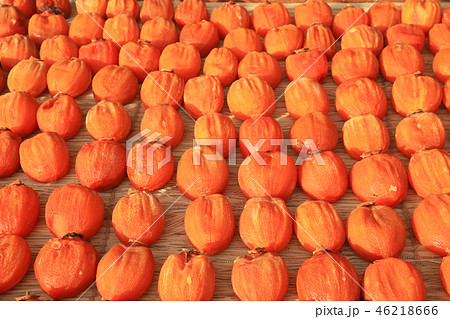 枯露柿(ころ柿)　甲州枯露柿 46218666