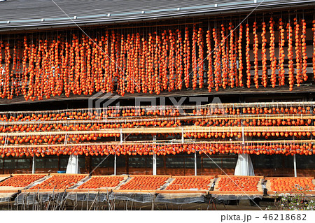 枯露柿(ころ柿)　甲州枯露柿 46218682