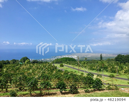 上島珈琲(UCCハワイ) 上島珈琲(UCCハワイ) 46219094