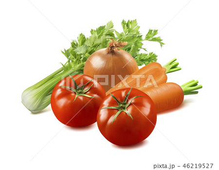 Minestrone vegetable soup ingredients isolated Minestrone vegetable soup ingredients isolated 46219527