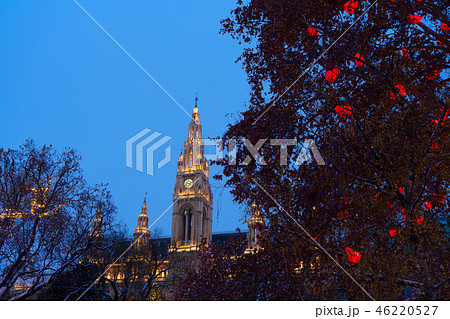 Christmas market in Vienna Christmas market in Vienna 46220527