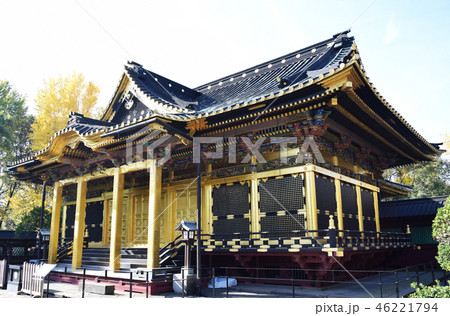 観光名所:上野東照宮本殿 観光名所:上野東照宮本殿 46221794