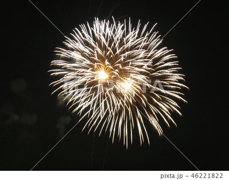 夏の夜空を飾る 花火 夏の夜空を飾る 花火 46221822