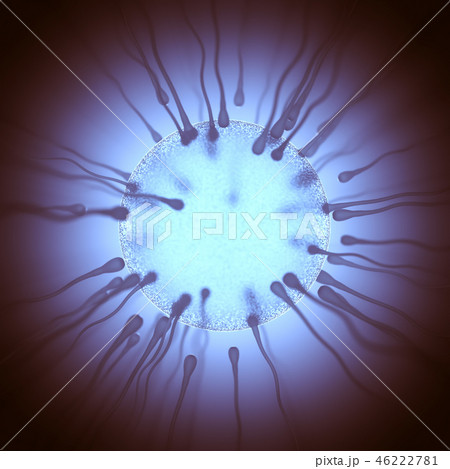 Sperm Meets Egg Sperm Meets Egg 46222781
