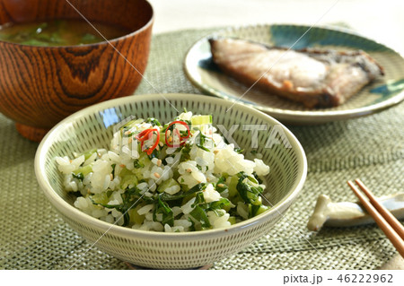 青菜ご飯 46222962