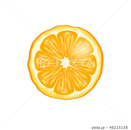 Orange Fruit Slice Closeup Vector Illustration 46223138