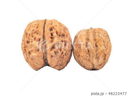 Large and small walnut Large and small walnut 46223477