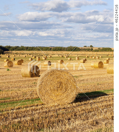 A stack of straw 46224416