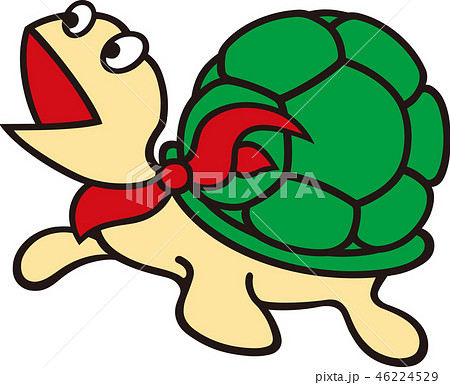 カメのイラスト素材