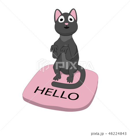 Friendly cat sitting on the rug.  46224843