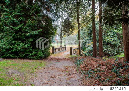 Old Stone Bridge in a green park Old Stone Bridge in a green park 46225816