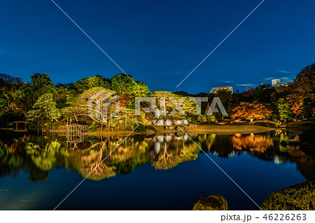 紅葉と大名庭園のライトアップ2018 46226263